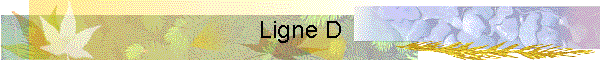 Ligne D