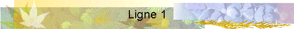 Ligne 1