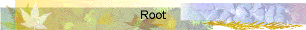 Root