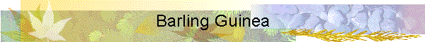 Barling Guinea