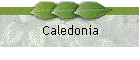 Caledonia