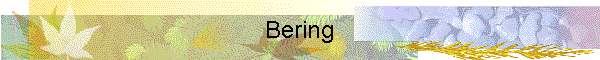 Bering