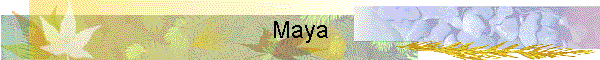 Maya