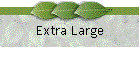 Extra Large