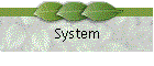 System