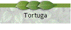 Tortuga