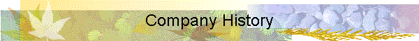 Company History
