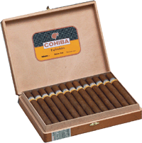 Cohiba Esplendidos - Varnished SBN 25's