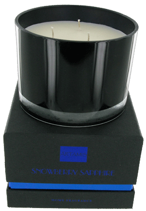 CAN02SS Fragranced Candle 11X8 cm Snowberry Sapphire 