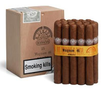 H Upmann Cabinet Selection Magnum 46 - SLB 25's